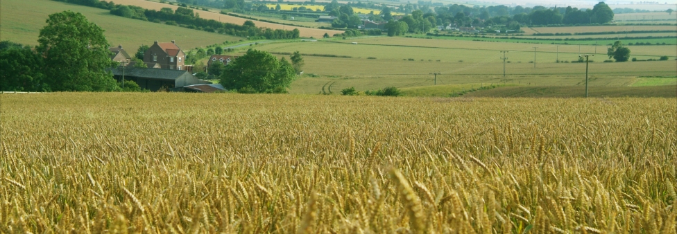 Driffield - Driffield