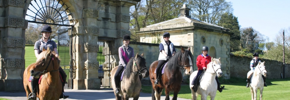Horse Riding is popular in Yorkshire - North Yorkshire