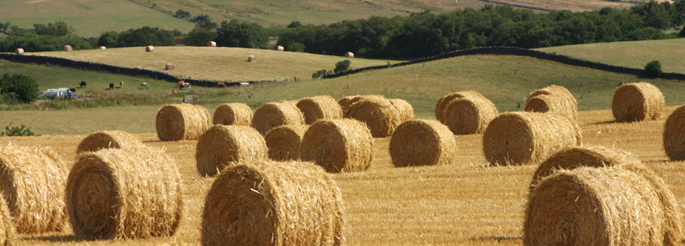 Hay Bales - North Yorkshire