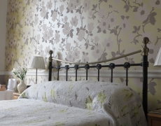 Avondale Guest House Avondale Guest House