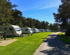 Ladycross Plantation Caravan Park - Family run - 5 miles from Whitby Ladycross Plantation Caravan Park - Family run - 5 miles from Whitby