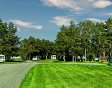 Ladycross Plantation Caravan Park - Family run - 5 miles from Whitby Ladycross Plantation Caravan Park - Family run - 5 miles from Whitby