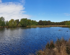 Ladycross Plantation Caravan Park - Family run - 5 miles from Whitby Ladycross Plantation Caravan Park - Family run - 5 miles from Whitby