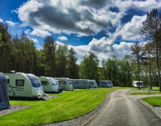Ladycross Plantation Caravan Park - Family run - 5 miles from Whitby Ladycross Plantation Caravan Park - Family run - 5 miles from Whitby