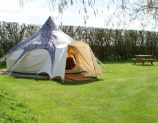 The Vale of Pickering Caravan Park The Vale of Pickering Caravan Park