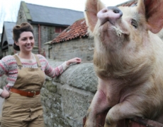 Beamish Museum Beamish Museum