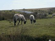 Yorkshire Holidays Yorkshire Holidays