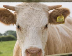 Yorkshire Holidays Yorkshire Holidays