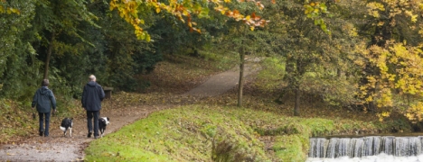 Yorkshire Holidays Yorkshire Holidays