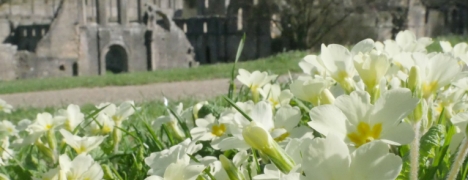 Yorkshire Holidays Yorkshire Holidays