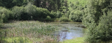 Grouse Hill Touring Caravan & Camping Park Grouse Hill Touring Caravan & Camping Park