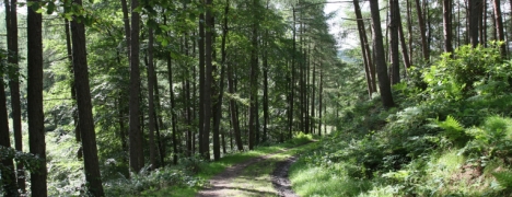 Grouse Hill Touring Caravan & Camping Park Grouse Hill Touring Caravan & Camping Park