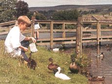 Yorkshire Holidays Yorkshire Holidays