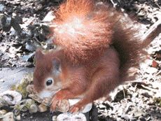 Yorkshire Holidays Yorkshire Holidays