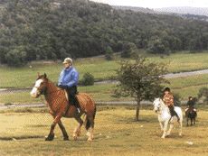 Yorkshire Holidays Yorkshire Holidays