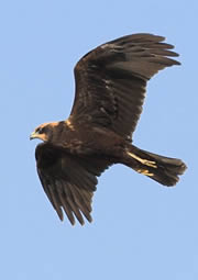 Yorkshire Holidays Yorkshire Holidays