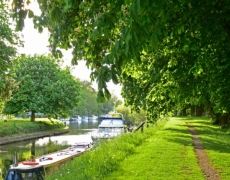 Naburn Lock Caravan Park - Naburn Lock Caravan Park -