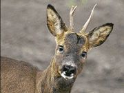 Yorkshire Holidays Yorkshire Holidays