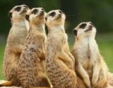 Yorkshire Holidays Yorkshire Holidays