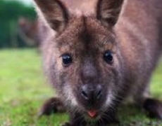 Yorkshire Holidays Yorkshire Holidays