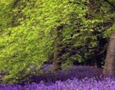 Yorkshire Holidays Yorkshire Holidays