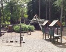 Thorp Perrow Arboretum, Woodland Gardens, Bird of Prey and Mammal Centre Thorp Perrow Arboretum, Woodland Gardens, Bird of Prey and Mammal Centre