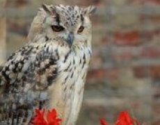 Yorkshire Holidays Yorkshire Holidays