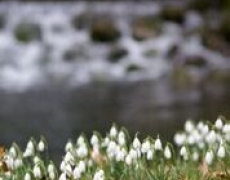 Yorkshire Holidays Yorkshire Holidays