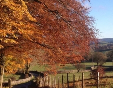 Woodnook Caravan Park Woodnook Caravan Park